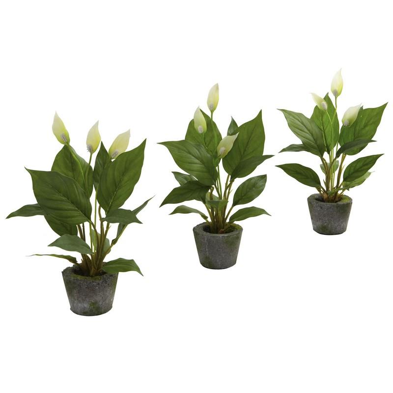 11"  Spathyfillum w/Cement Planter (Set of 3)