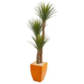 69"  Yucca Artificial Tree in Orange Planter