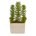 17"  Succulent Artificial Plant With Decorative Planter