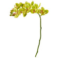 21"  Phalaenopsis Orchid Artificial Flower (Set of 6)