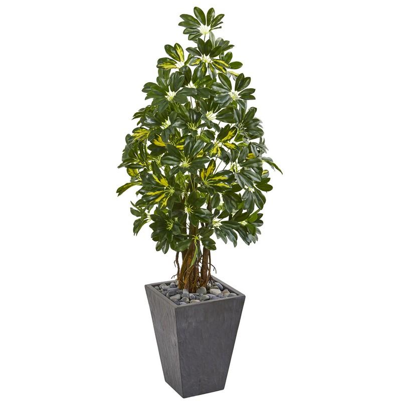 57"  Schefflera Artificial Tree in Slate Planter