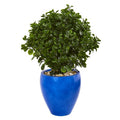 32"  Peperomia Artificial Plant in Blue Planter UV Resistant (Indoor/Outdoor)