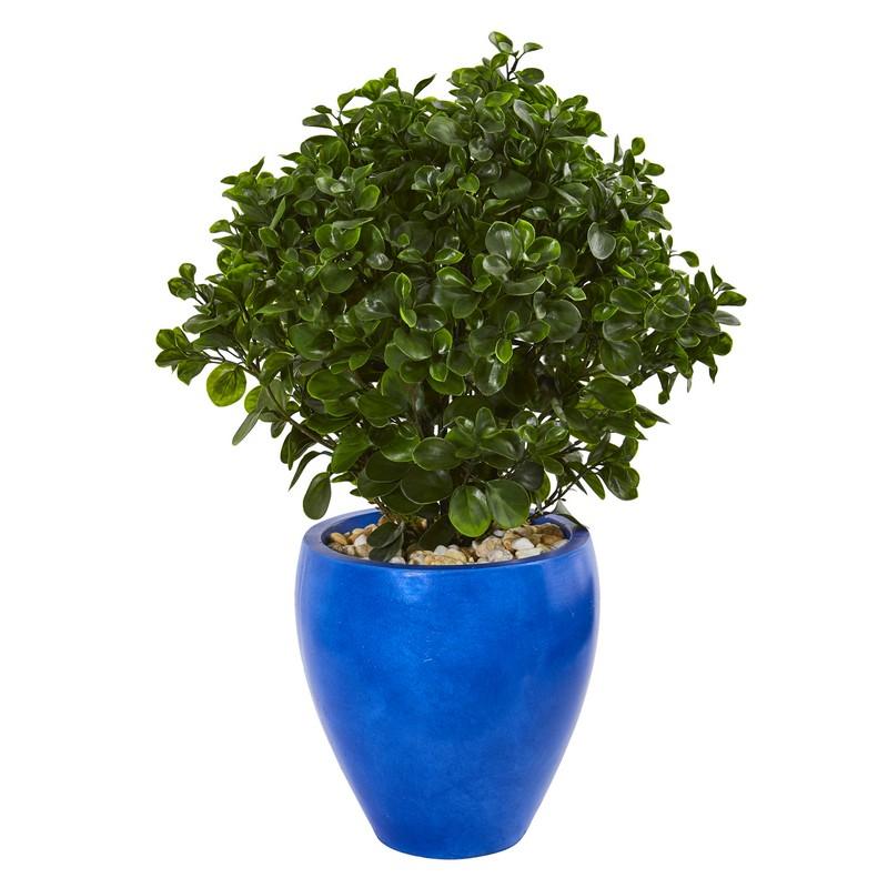 32"  Peperomia Artificial Plant in Blue Planter UV Resistant (Indoor/Outdoor)