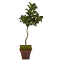 57"  Magnolia Artificial Tree in Decorative Planter