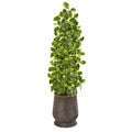 43" Variegated Holly Leaf Artificial Tree in Ribbed Metal Planter (Real Touch)
