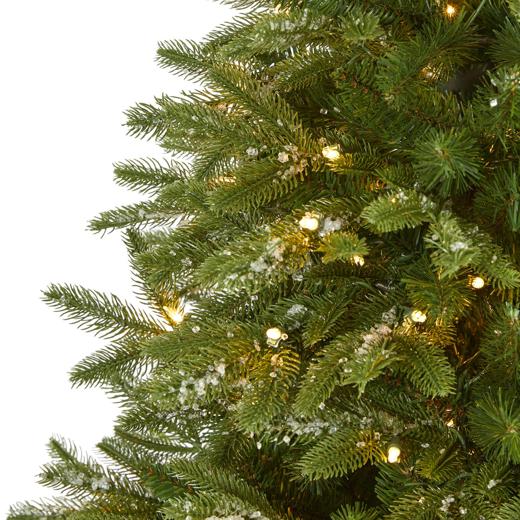 6' Snowed Grand Teton Artificial Christmas Tree with 300 Clear Lights
