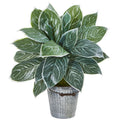 24"  Silver Aglonema Artificial Plant in Decorative Bucket (Real Touch)
