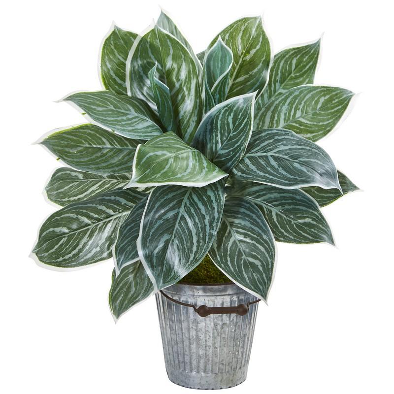 24"  Silver Aglonema Artificial Plant in Decorative Bucket (Real Touch)