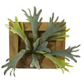 13" Staghorn Artificial Plant in Wood Hanging Frame