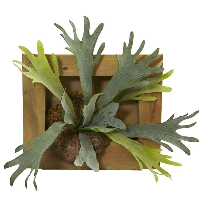 13" Staghorn Artificial Plant in Wood Hanging Frame