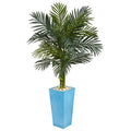 5' Golden Cane Palm Artificial Tree in Turquoise Tower Vase