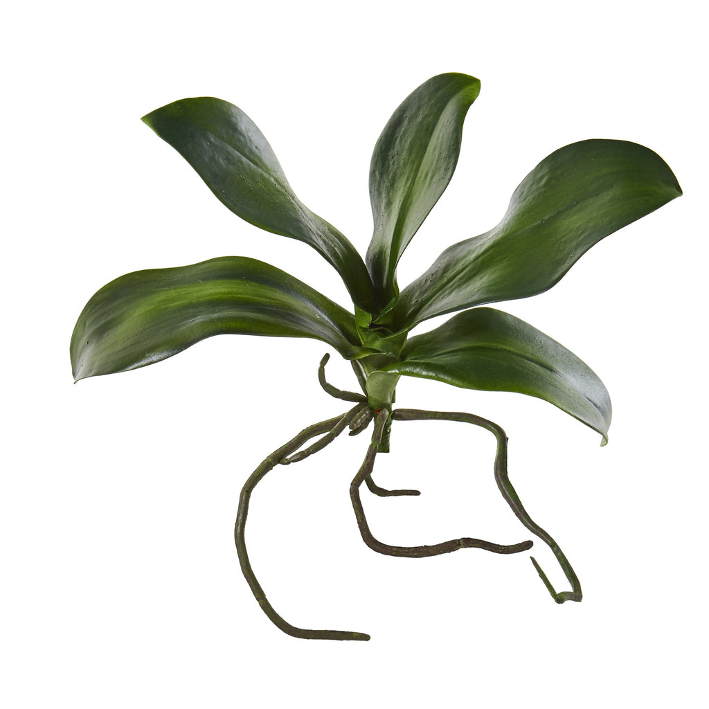 9" Phalaenopsis Orchid Leaf Artificial Flower (Set of 6)