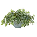 19' Watermelon Peperomia Artificial Plant in Green Vase (Real Touch)