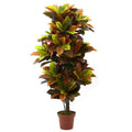 56"  Croton Plant (Real Touch)