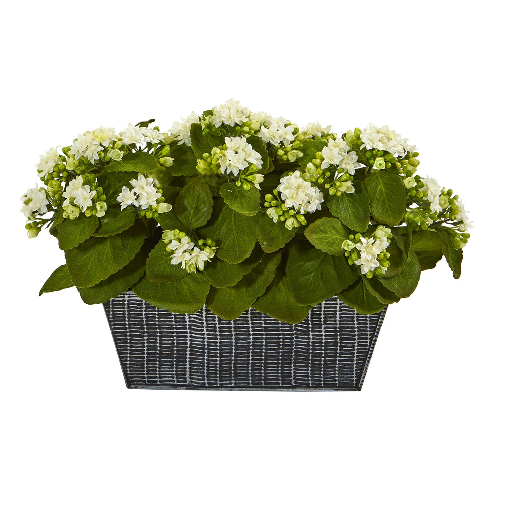 14" Kalanchoe Artificial Plant in Black Embossed Planter