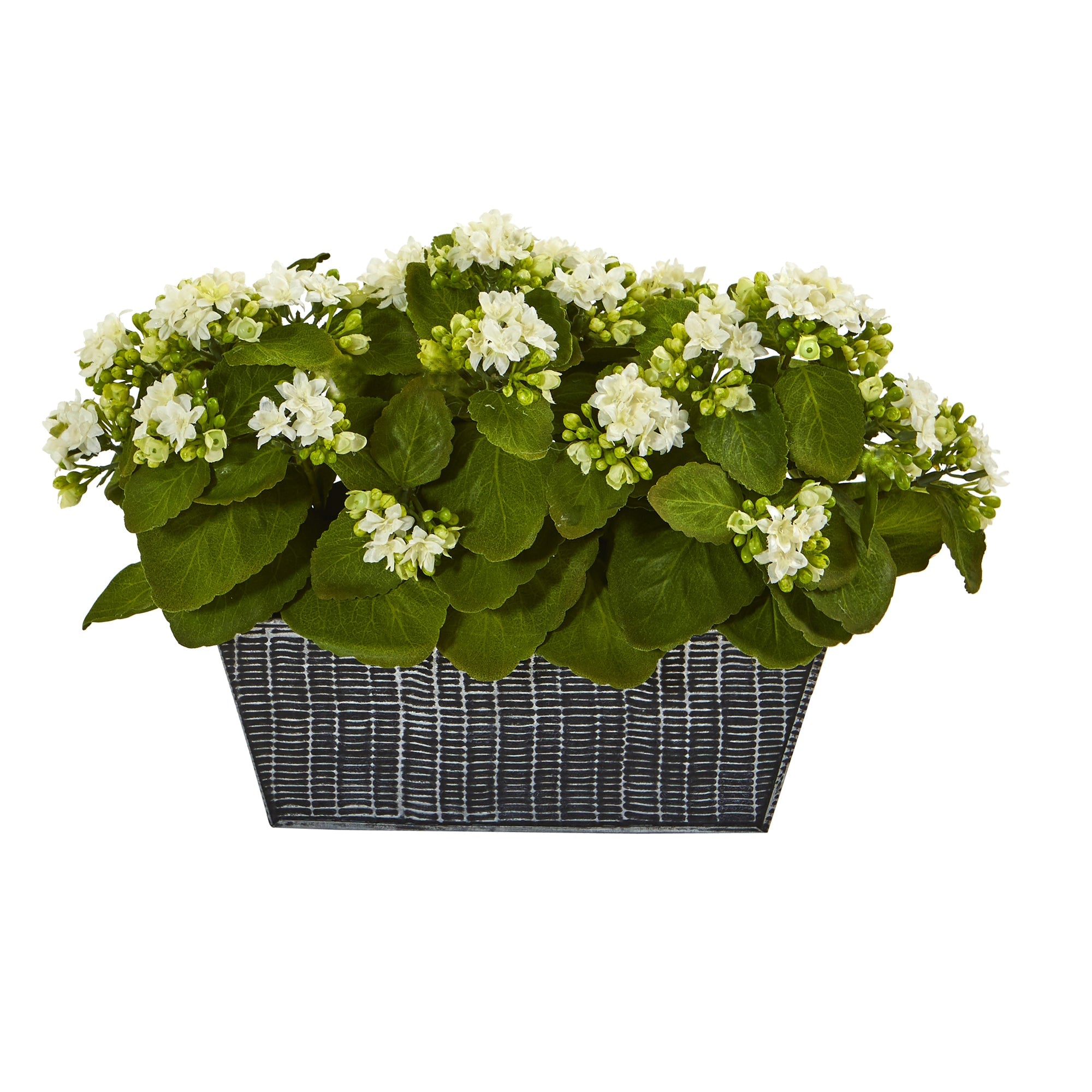 14" Kalanchoe Artificial Plant in Black Embossed Planter