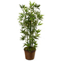 4' Bamboo Tree in Coiled Rope Planter