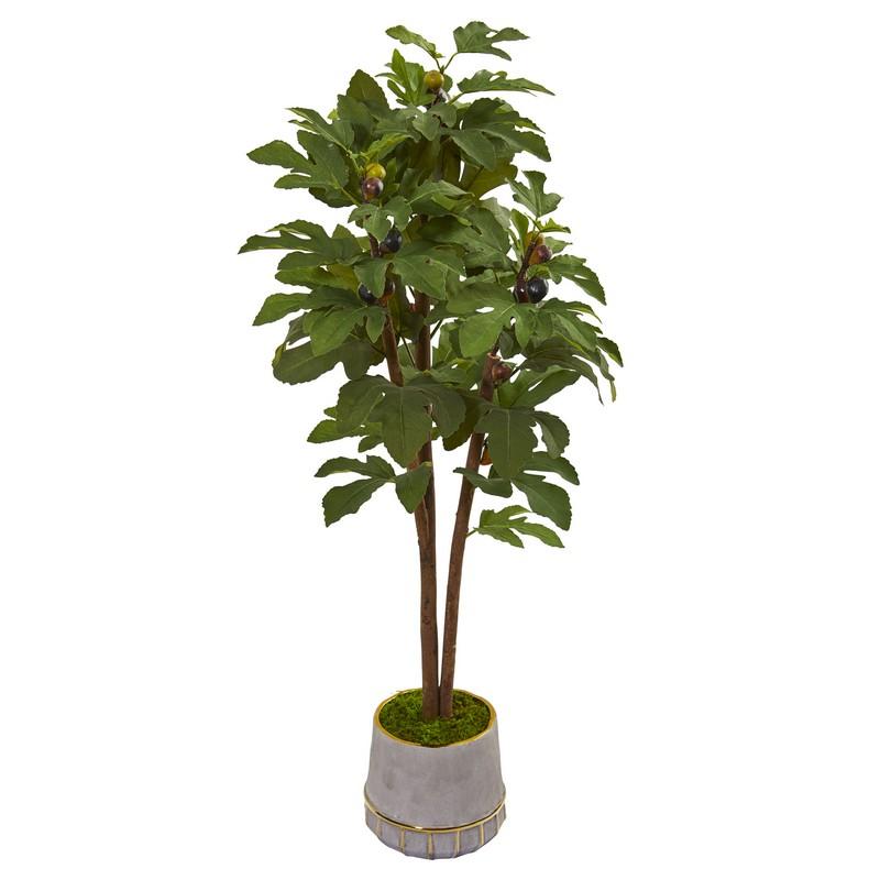 47"  Fig Artificial Tree in Stoneware Vase with Gold Trimming
