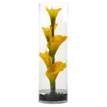 20" Calla Lily in Cylinder Glass