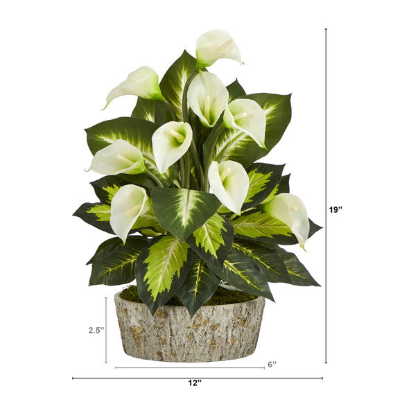 19" Calla Lily and Golden Dieffenbachia Artificial Plant