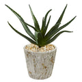 16"  Aloe Artificial Plant in Weathered Planter