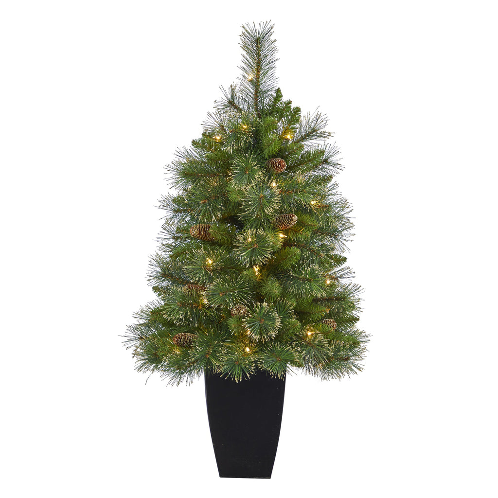3.5' Golden Tip Washington Pine Artificial Christmas Tree w/ 50 Clear Lights