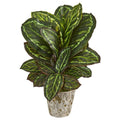 26"  Maranta Artificial Plant in Weathered Oak Planter