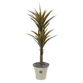 62"  Yucca Artificial Tree in Decorative Planter
