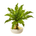 16"  Fern Artificial Plant in Designer Vase