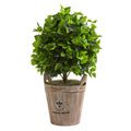 2.5' Ficus Artificial Tree in Farmhouse Planter