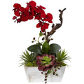 Seasonal Orchid & Succulent Garden w/White Wash Planter