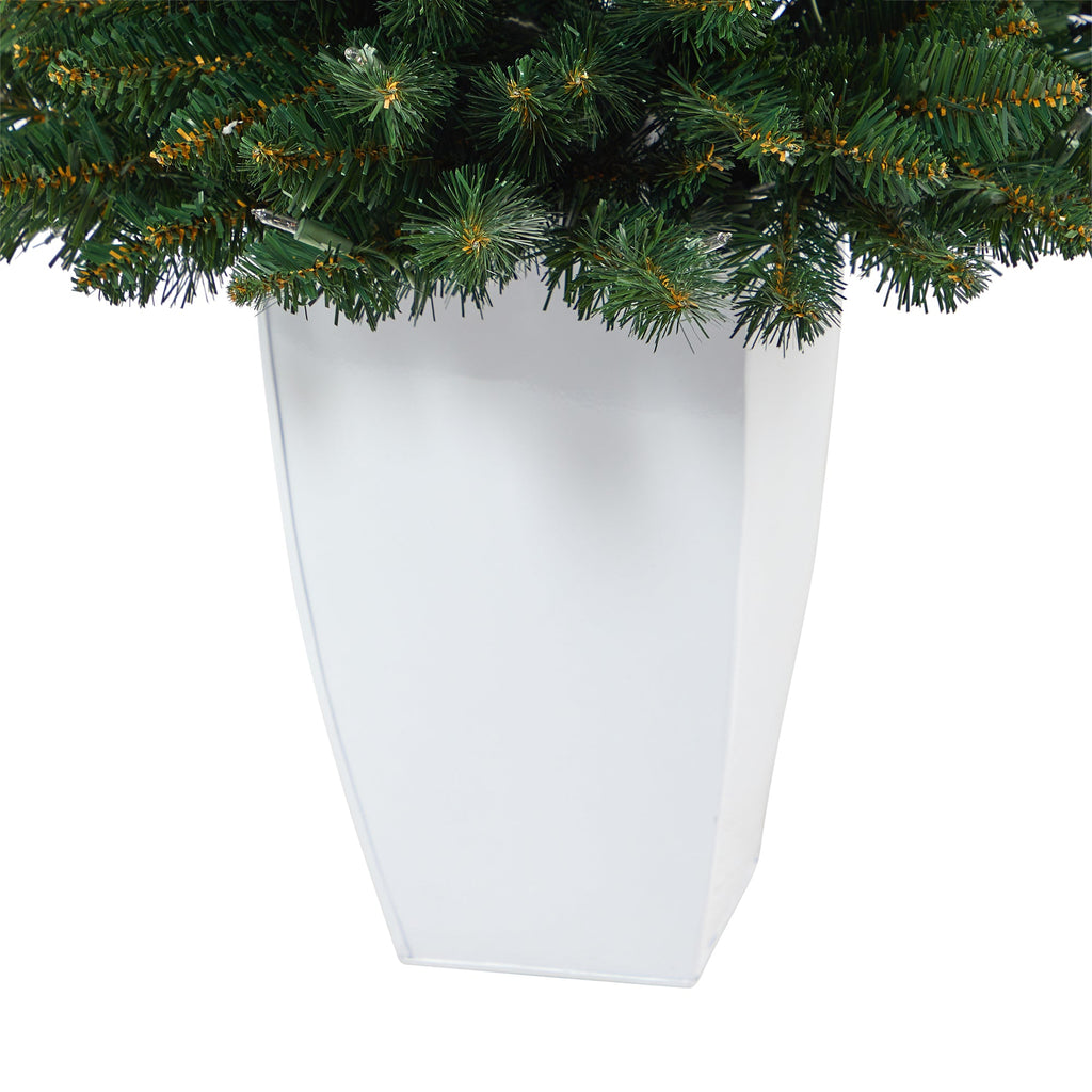 3.5' Northern Rocky Spruce Artificial Christmas Tree w/ 50 Clear Lights