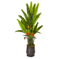62"  Bird of Paradise Artificial Plant in Decorative Planter