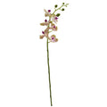 29"  Phalaenopsis Orchid Artificial Flower (Set of 4)