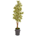81" Dracaena Artificial Plant in Metal Planter