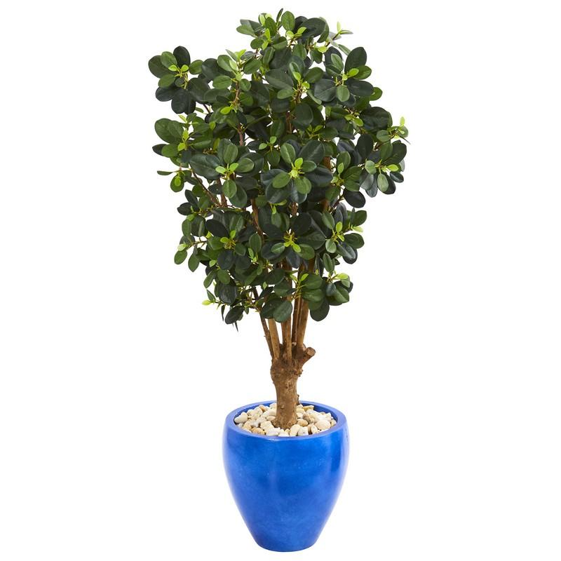 50"  Panda Ficus Artificial Tree in Blue Planter
