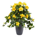 28"  Hibiscus Artificial Plant in Gray Planter