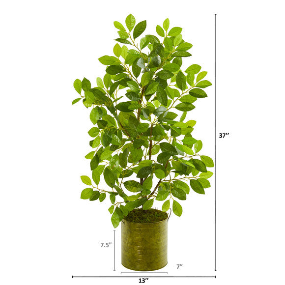37" Mini Ficus Artificial Tree in Green Planter