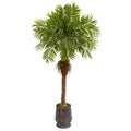 73" Robellini Palm Artificial Tree In Metal Planter 9558 By Nearly Natural
