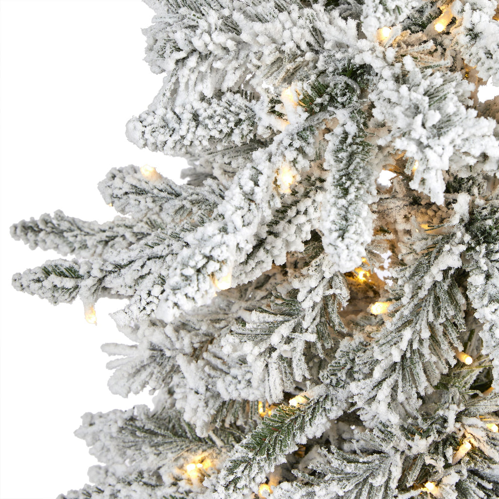 5' Flocked Gr& Northern Rocky Fir Artificial Christmas Tree