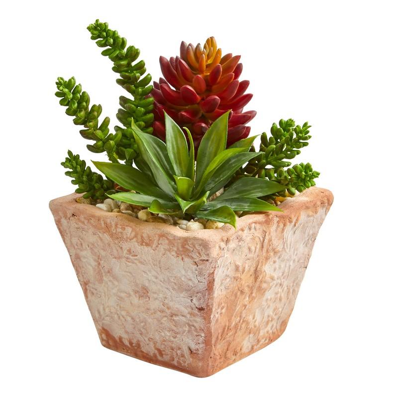 11"  Mixed Succulents Artificial Plant in Small Terra Cotta Vase