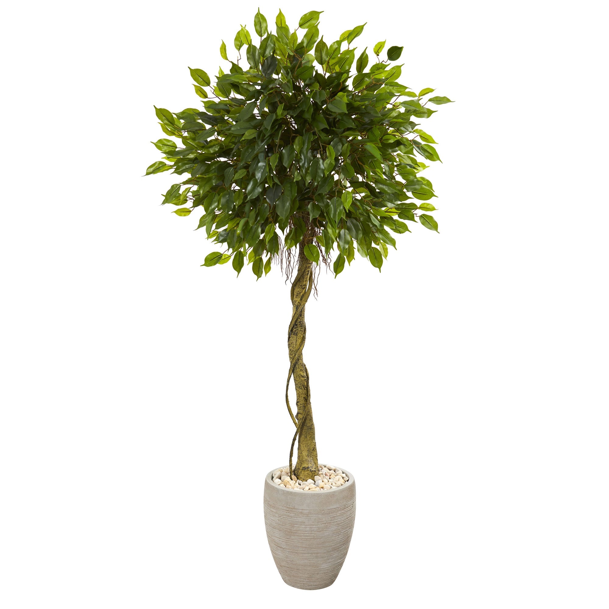 5.5' Ficus Artificial Tree in Oval Planter UV Resistant