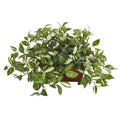 28"  Florida Beauty Artificial Plant in Rectangular Planter