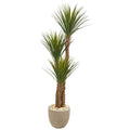 63"  Yucca Artificial Tree in Sandstone Planter