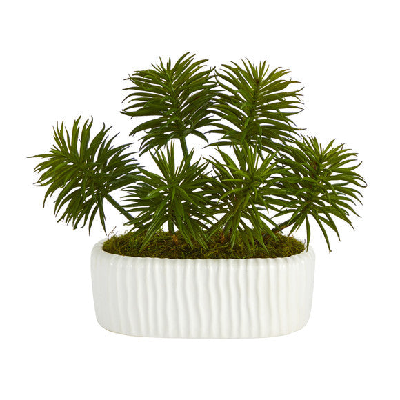 10" Succulent Artificial Plant in White Planter