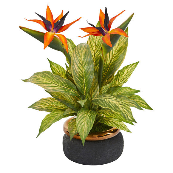20" Bird of Paradise and Musa Leaf Artificial Arrangement in Stoneware Bowl