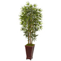 5' Bamboo Tree in Decorative Planter