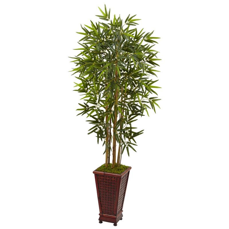 5' Bamboo Tree in Decorative Planter