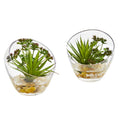 Spiky Succulent Artificial Plant in Slanted Glass (Set of 2)