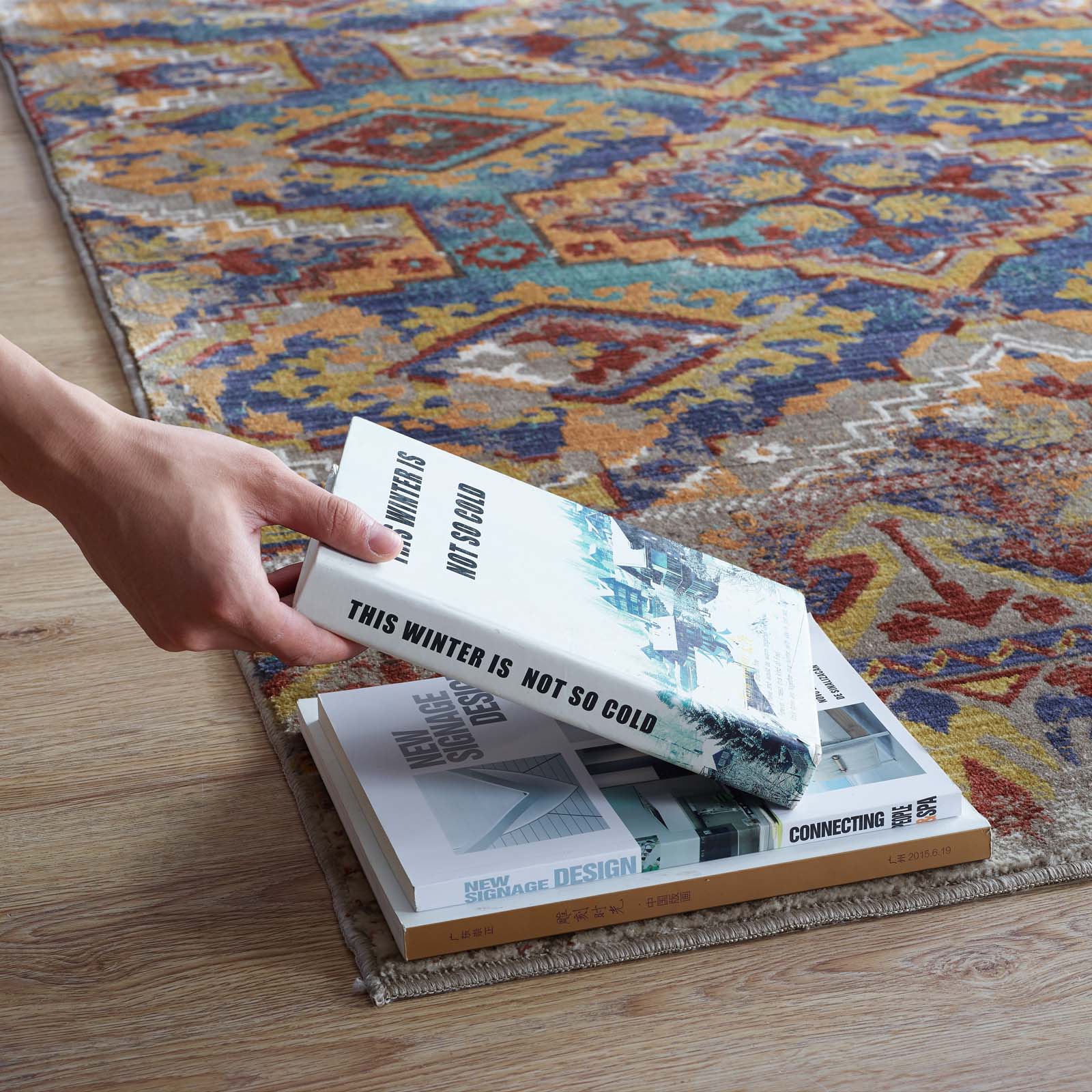 Centehua Distressed Southwestern Aztec 5x8 Area Rug by Modway